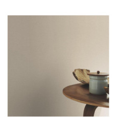 Papier peint RASCH Collection PLAINS référence 295541 série CAS