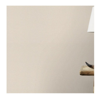 Papier peint RASCH Collection PLAINS référence 295565 série CAS