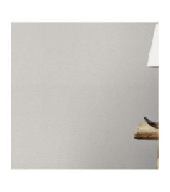 Papier peint RASCH Collection PLAINS référence 295589 série CAS