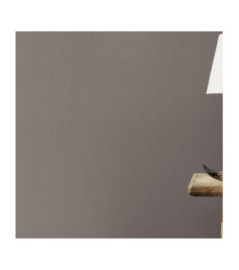 Papier peint RASCH Collection PLAINS référence 295619