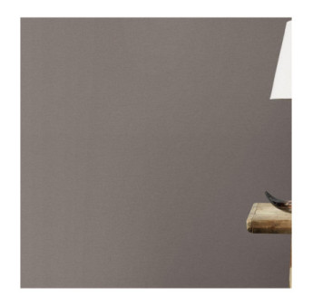 Papier peint RASCH Collection PLAINS référence 295619 série CAS