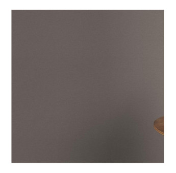 Papier peint RASCH Collection PLAINS référence 295619 série CAS