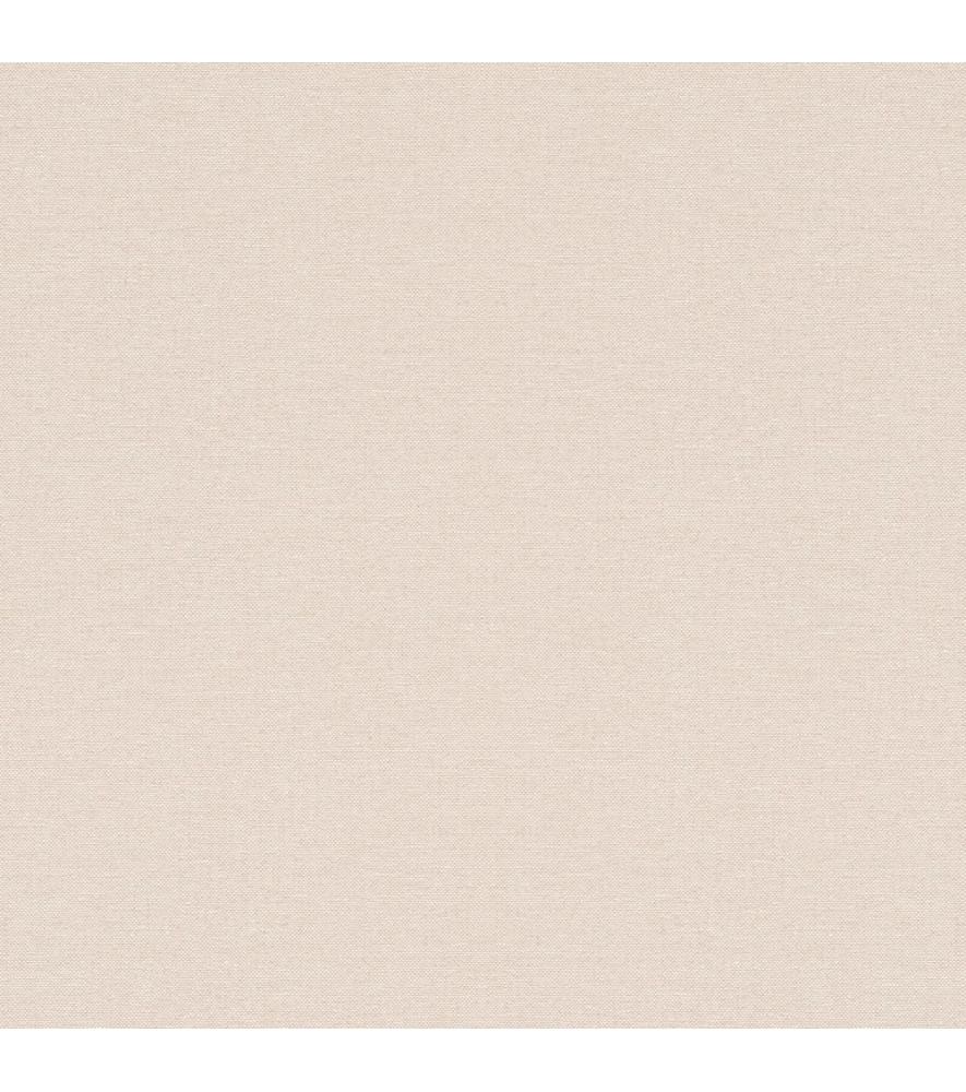 Papier Peint RASCH Plains 295633 Papier Peint RASCH Plains 295633
