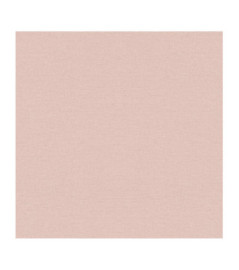 Papier Peint RASCH Plains 295640