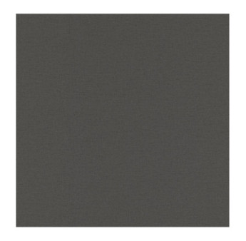 Papier Peint RASCH Plains 295695