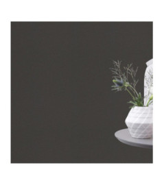 Papier peint RASCH Collection PLAINS référence 295695 série CAS