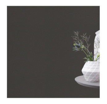 Papier peint RASCH Collection PLAINS référence 295695 série CAS