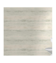 Papier peint RASCH Collection PLAINS référence 296067 série RIC
