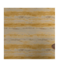 Papier peint RASCH Collection PLAINS référence 296562 série CAT