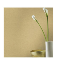 Papier peint RASCH Collection PLAINS référence 297644 série CAT
