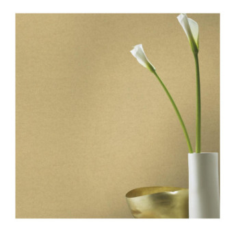 Papier peint RASCH Collection PLAINS référence 297644