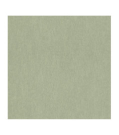 Papier peint RASCH Collection PLAINS référence 298986 série CAT