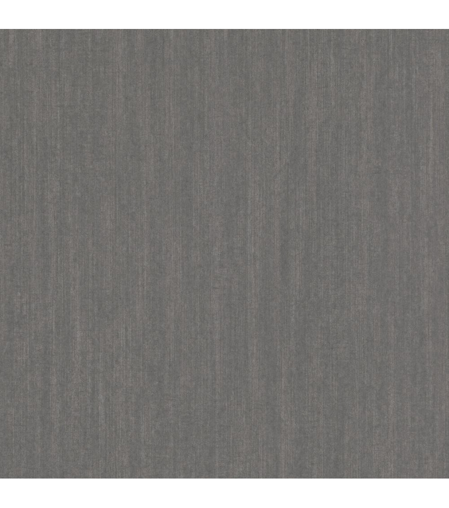 Papier Peint RASCH Plains 299921 Papier Peint RASCH Plains 299921