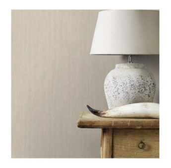 Papier peint RASCH Collection PLAINS référence 299938