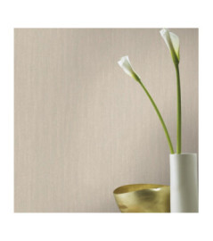 Papier peint RASCH Collection PLAINS référence 299938 série RIC