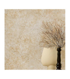 Papier peint RASCH Collection PLAINS référence 300658 série CAT