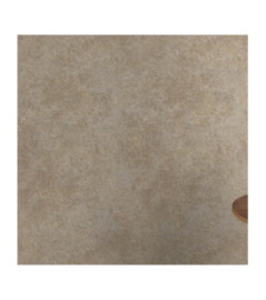 Papier peint RASCH Collection PLAINS référence 300658 série CAT