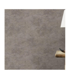 Papier peint RASCH Collection PLAINS référence 300665