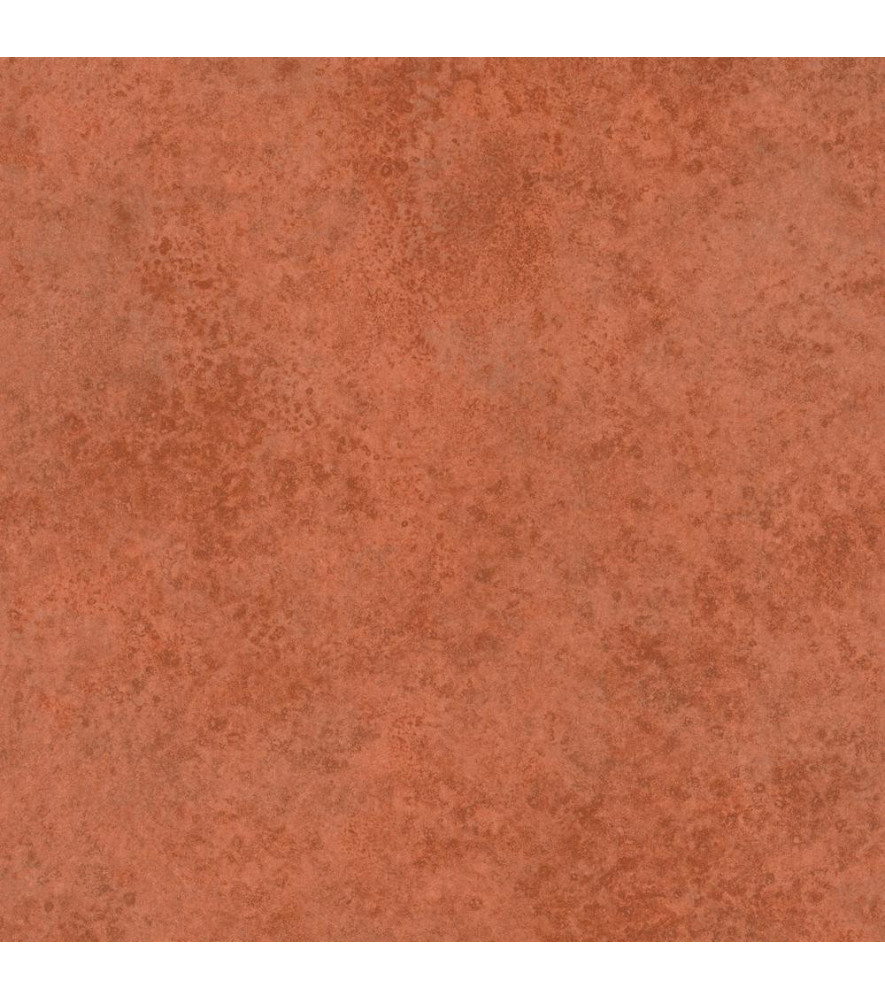 Papier Peint RASCH Plains 300689 Papier Peint RASCH Plains 300689