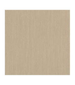Papier Peint RASCH Plains 300702