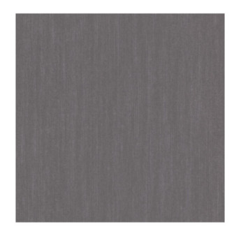 Papier Peint RASCH Plains 300740