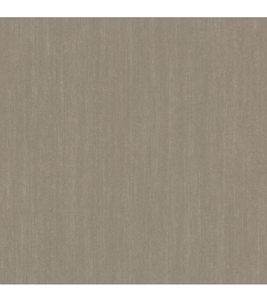 Papier Peint RASCH Plains 300757 Papier Peint RASCH Plains 300757