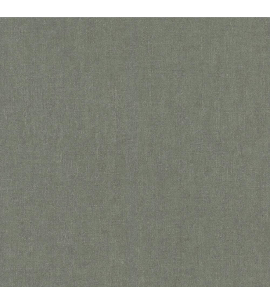 Papier Peint RASCH Plains 301532 Papier Peint RASCH Plains 301532