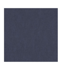 Papier Peint RASCH Samoa 290997