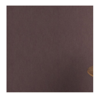 Papier peint RASCH Collection SENSAI référence 296401 série RIC