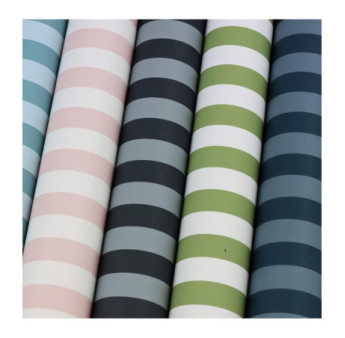 Papier peint RASCH Collection STRICTLY STRIPES VII référence 288444 série EVB