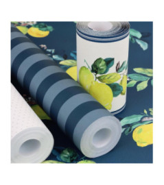 Papier peint RASCH Collection STRICTLY STRIPES VII référence 288475 série EVB