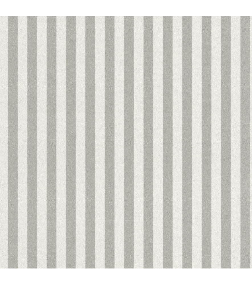 Papier Peint RASCH Strictly Stripes VII 288956 Papier Peint RASCH Strictly Stripes VII 288956