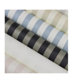 Papier peint RASCH Collection STRICTLY STRIPES VII référence 515329 série EVB