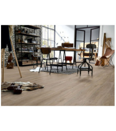 CASELIO BASICS