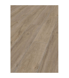 CASELIO BASICS
