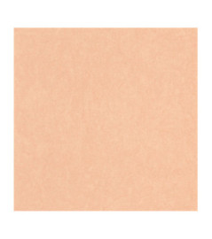 Papier Peint CASADECO Arts & Crafts ARCR82388430