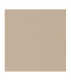 Papier Peint CASADECO Beauty Full Color BFCO60401000