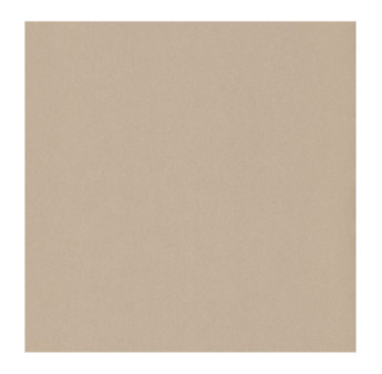 Papier Peint CASADECO Beauty Full Color BFCO60401000