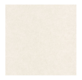 Papier Peint CASADECO Beauty Full Color BFCO82181138