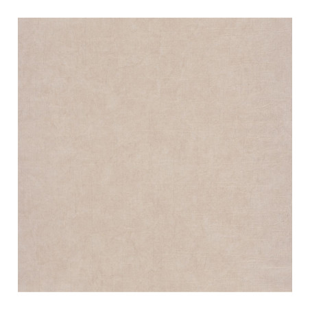 Dégraissant bois exotiques PLASTOR 1L