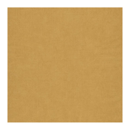 Dégriseur pour terrasses bois PLASTOR 1L