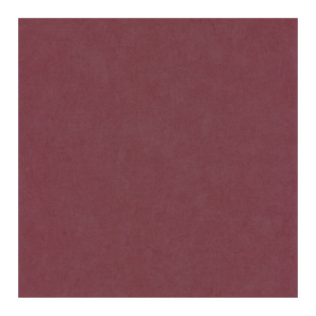 Raviveur métallisant PLASTOR satin pour parquets vitrifiés, stratifiés et sols souples 5L