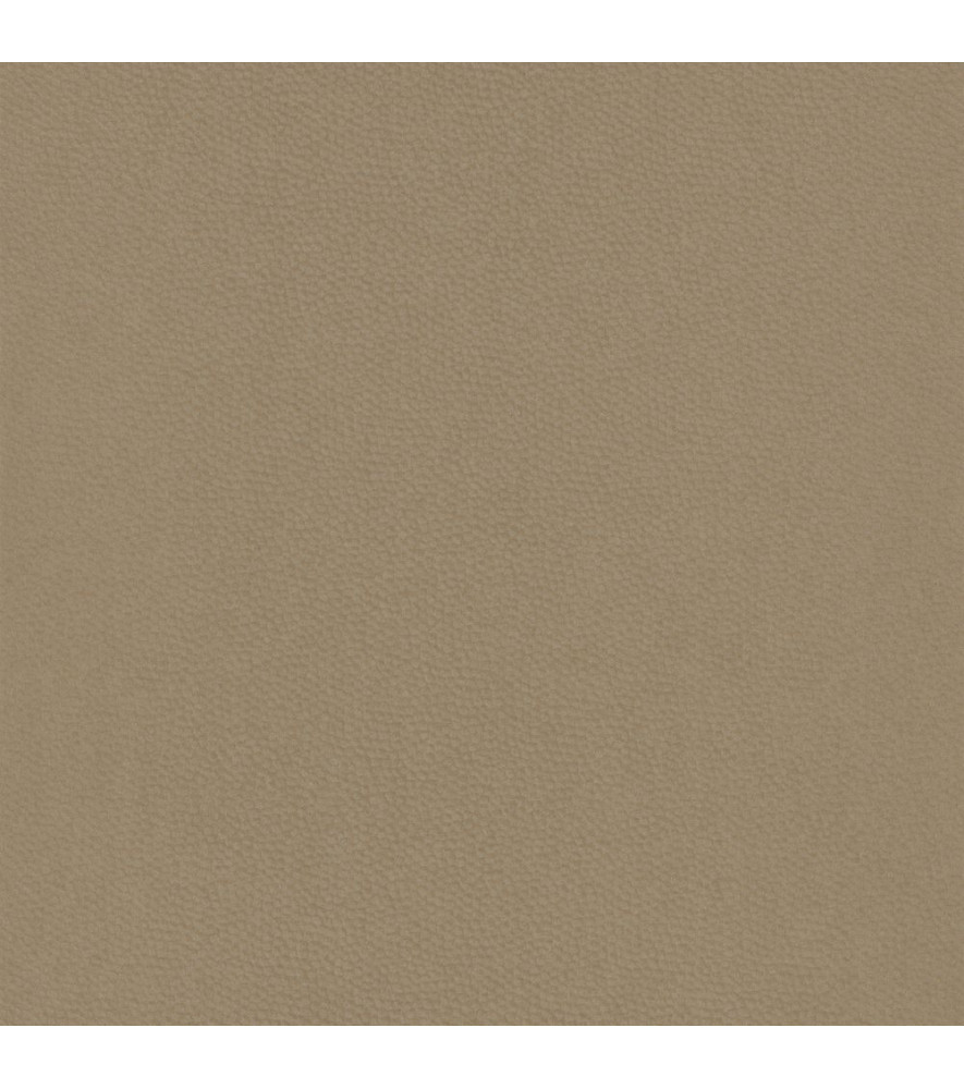 Papier Peint CASADECO Beauty Full Color BFCO82281240 Papier Peint CASADECO Beauty Full Color BFCO82281240