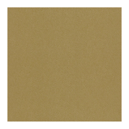 Nettoyant doux PLASTOR pour parquets 1L
