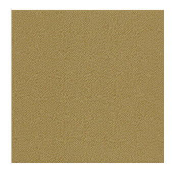 Papier Peint CASADECO Beauty Full Color BFCO82282207