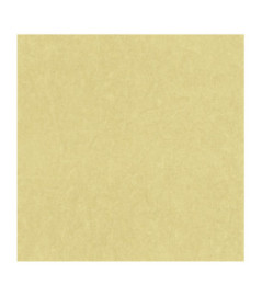 Papier Peint CASADECO Cotton Touch COTO82387245