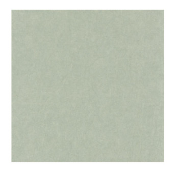 Papier Peint CASADECO Cotton Touch COTO84077227