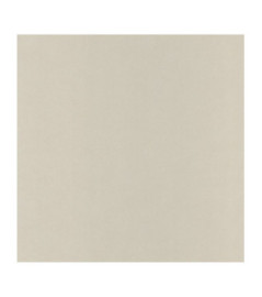 Papier Peint CASELIO Flower Power FLP64521010