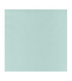 Papier Peint CASELIO Flower Power FLP64527007