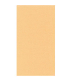 Papier Peint CASELIO Linen 2 LINN68523115